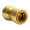 Quickfitting 3/4in Push-to-Connect x 3/4in Push-to-Connect Brass Polybutylene Transition Coupling Fitting LF821PBYR - alternate 3